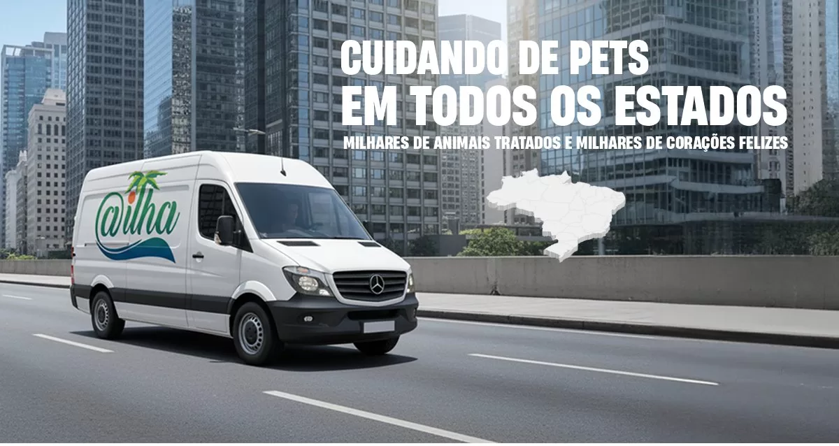Política de devolução